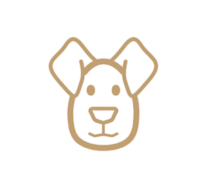 Home calidad five star bulldogs