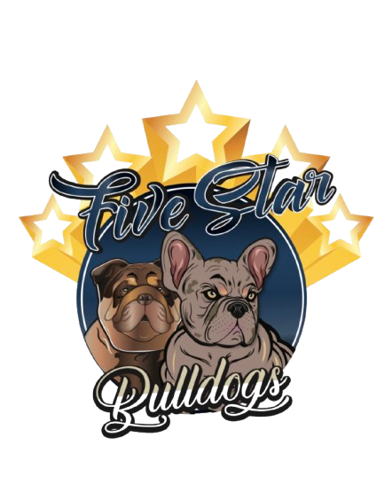five star bulldogs foto